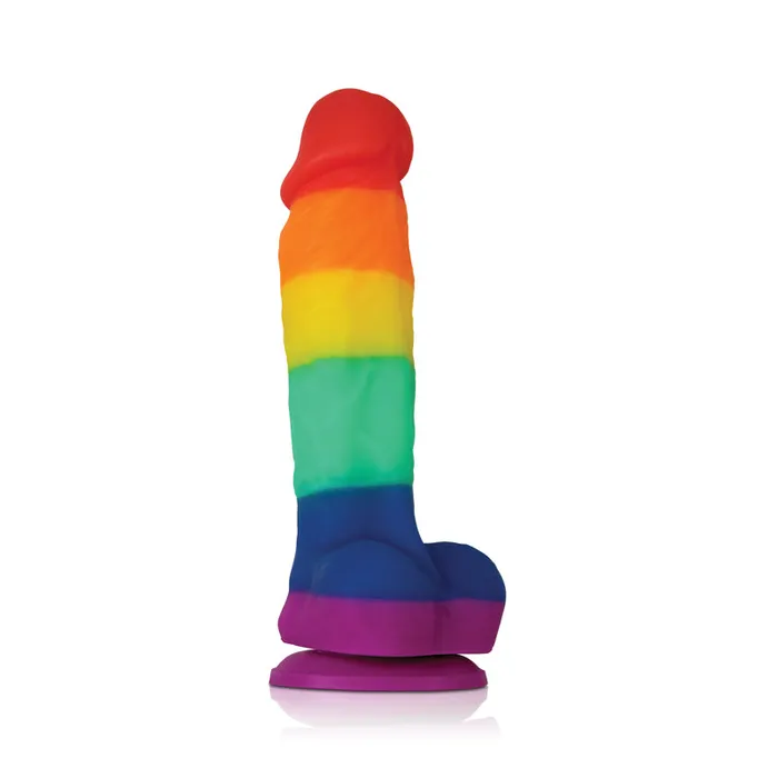 Dildos nsnovelties Colours Pride Edition 5 Inch Dildo Rainbow