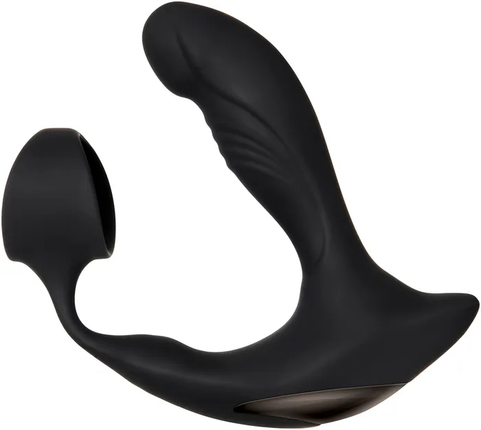 Vibrators Zero Tolerance Strapped and Tapped